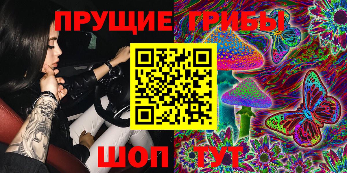 Псилоцибиновые грибы Cubensis Гулькевичи