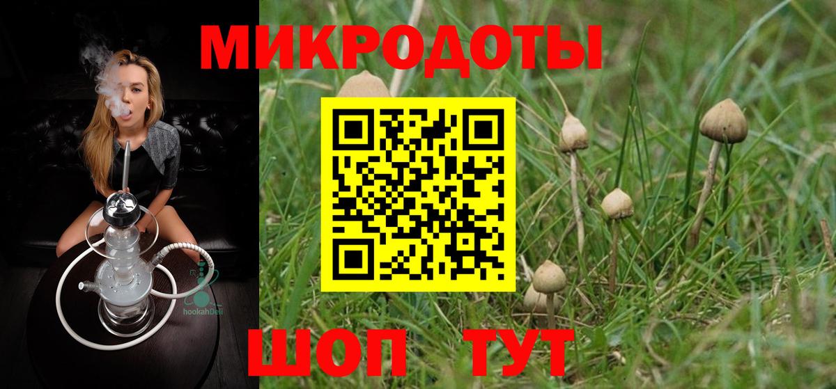 Галлюциногенные грибы Psilocybe  Псилоцибиновые грибы Psilocybine cubensis  наркошоп  Гулькевичи  Вход с VPN 